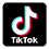 TikTok icon